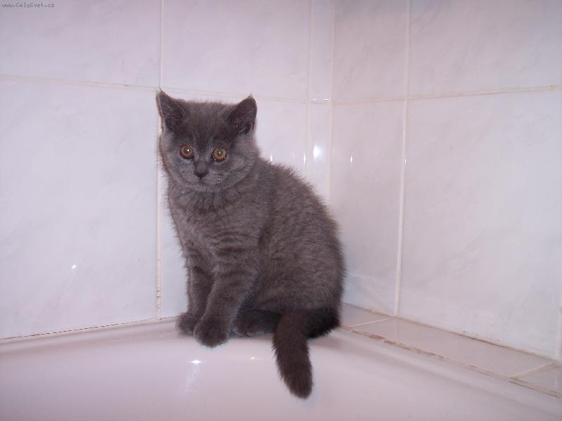 Foto: JONÁŠ