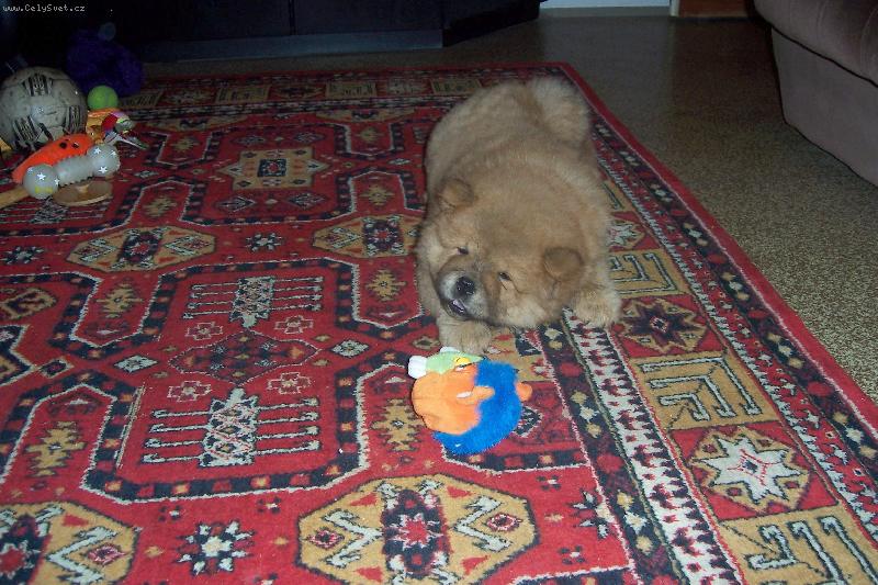 Foto: KIO 2 měsíce