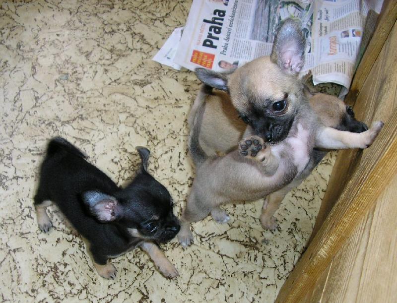 Foto: pojď taky....