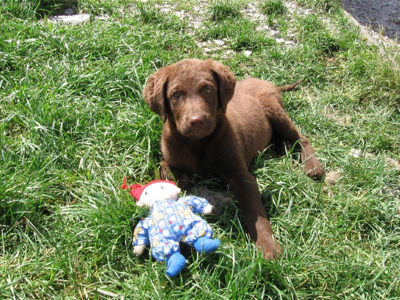 Foto: Henrietta Harmonny-fénečka, 2 měsíce