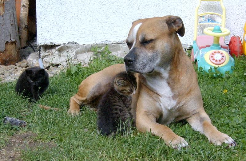 Foto: ...to jsou ti trhači.....-.....který je který??........ :-)