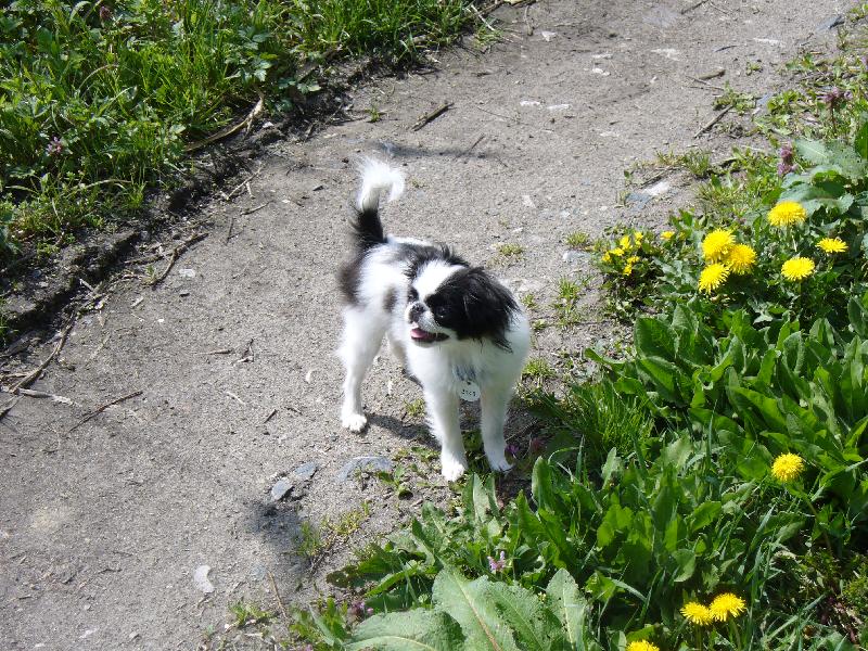 Foto: ČIKO