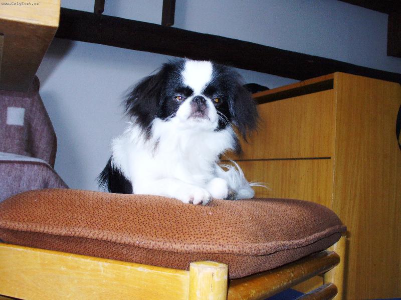 Foto: ČIKO-ČIKO na dovolené