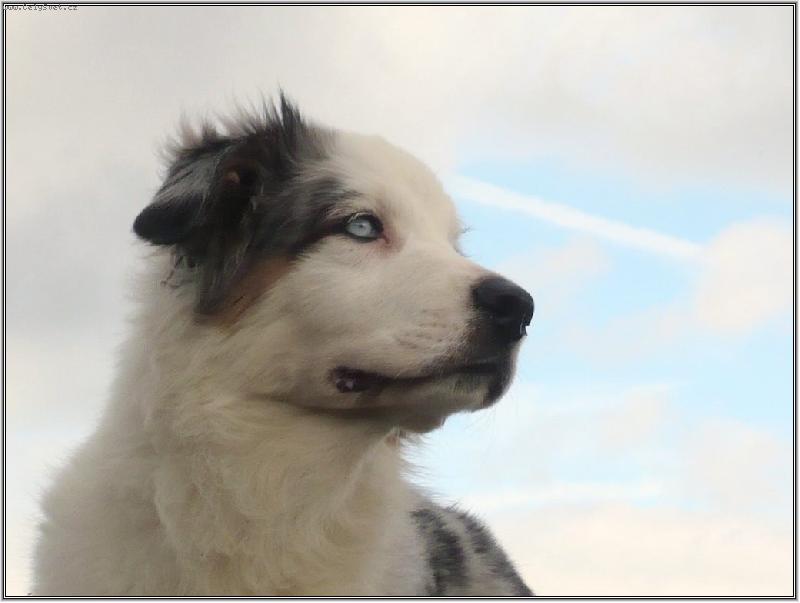 Foto: ve vánku