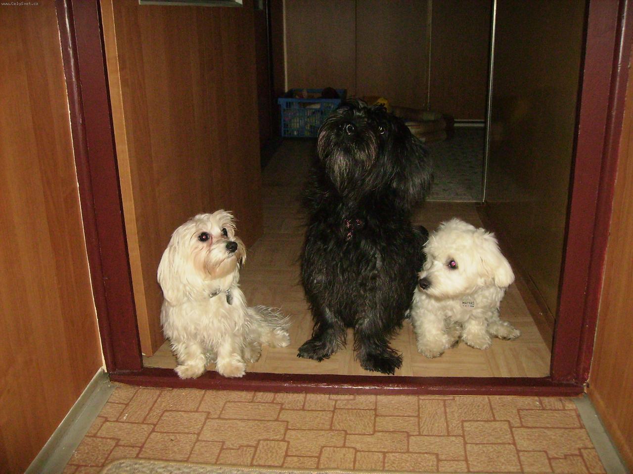 Foto: Beky   Terina   Maty�-Dv� holky a kluk aneb �ern� a b�l�