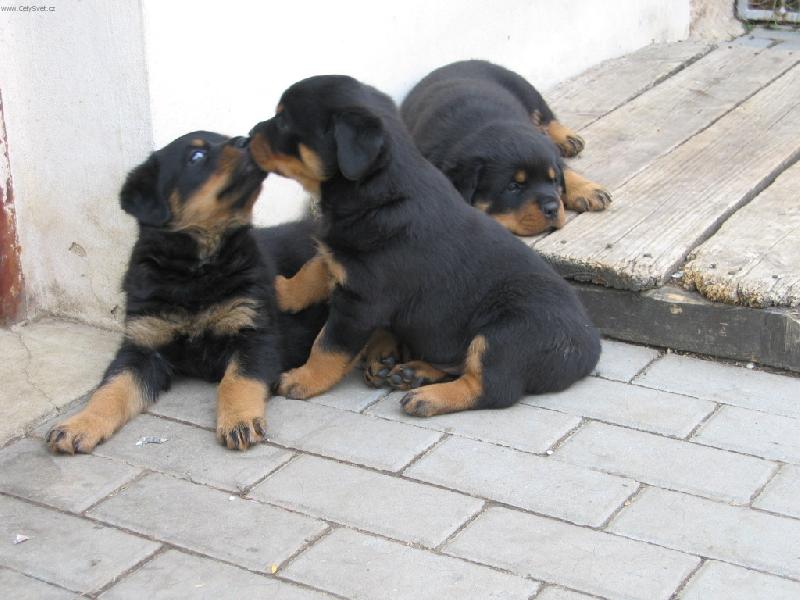 Foto: Láska je v nás odmalička!