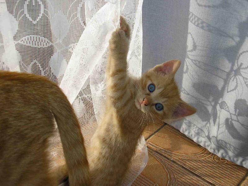 Foto: aja-co se d�je ?