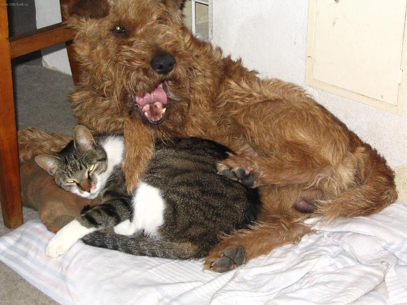 Foto: badour-nerušit prosím!!!!!