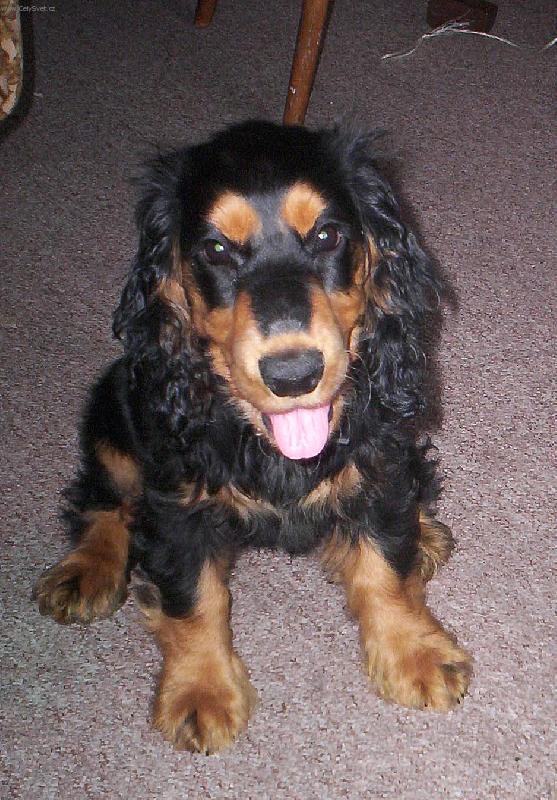 Foto: Barča-už jsem to vymyslela