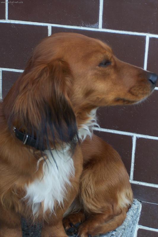 Foto: Pros�m, nefo� mne !!