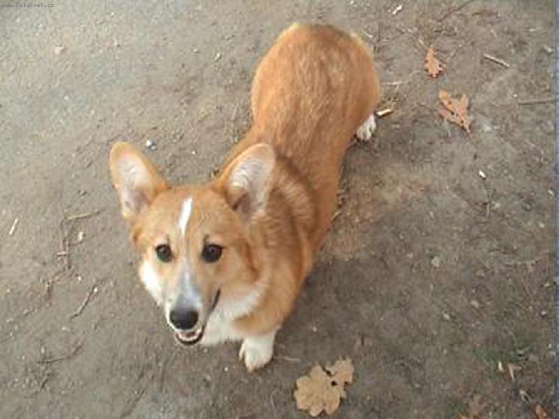 Foto: Li�ti�ka :)