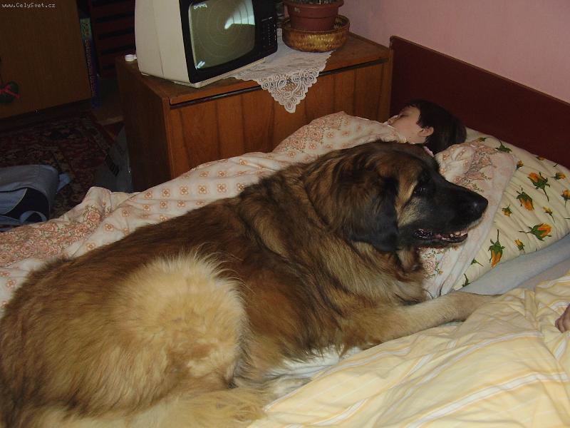 Foto: BEJBINA-..osobn� str�ce....