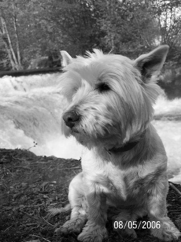 Foto: Aischa-milacek 2