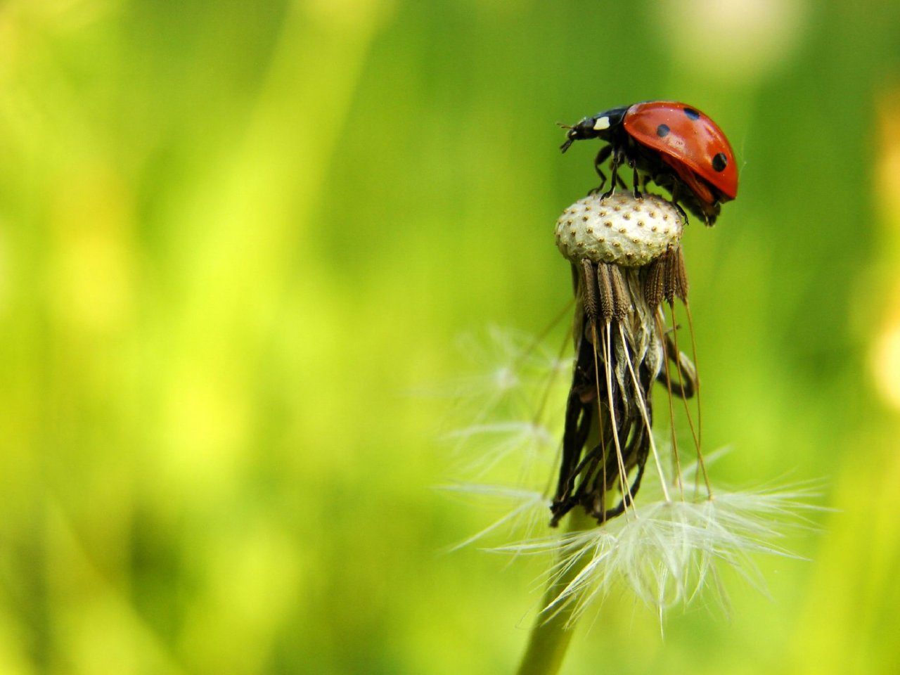 Foto: Ke startu, připravit, pozoooor ....
