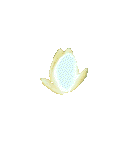 Více smajlíků ke stažení