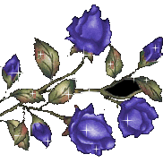 Více smajlíků ke stažení