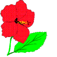 Více smajlíků ke stažení