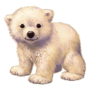 Více smajlíků ke stažení