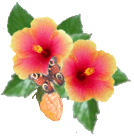 Více smajlíků ke stažení